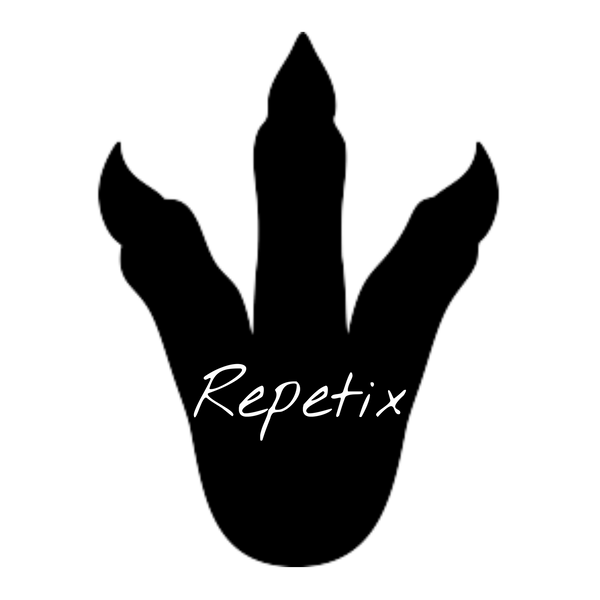 Repetix